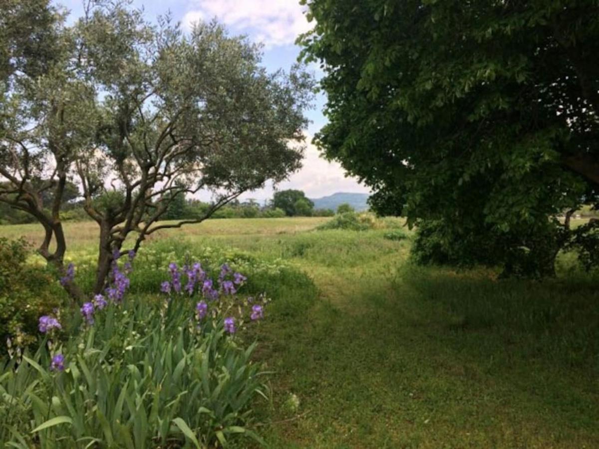 Willa Mas De "La Garcine" Mazan Zewnętrze zdjęcie