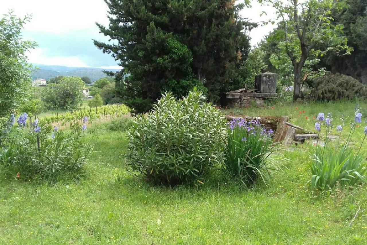 Willa Mas De "La Garcine" Mazan Zewnętrze zdjęcie